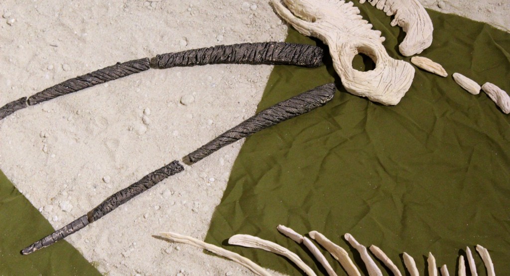 Interview: Abdulmohsen Albinali